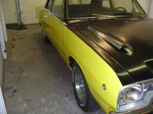 YELLOW DART 017.JPG YELLOW DART 017.JPG