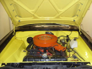 YELLOW DART 019.JPG YELLOW DART 019.JPG