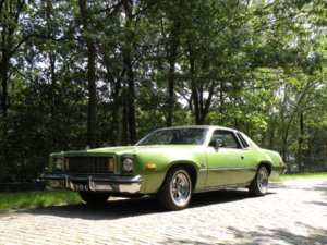 DSCN5041 - kopie.JPG