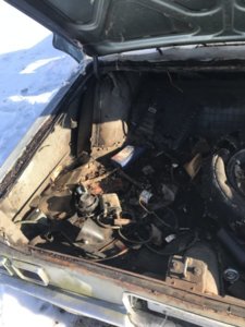 IMG_3732.JPG IMG_3732.JPG