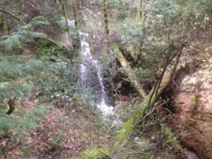 IMG_6815.JPG