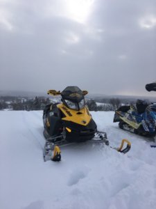 sled17.jpg