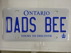 beeplates.jpg beeplates.jpg