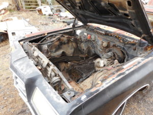 DSCN2032.JPG DSCN2032.JPG