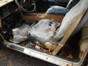 DSCN2045.JPG DSCN2045.JPG