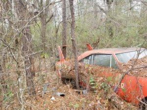 IMG_0184.JPG IMG_0184.JPG