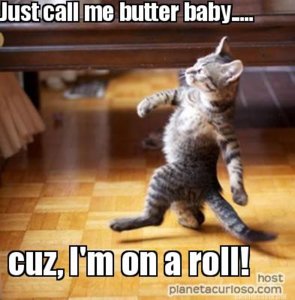 om a roll.jpg om a roll.jpg