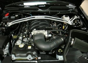 2008_00049_04.jpg 2008_00049_04.jpg