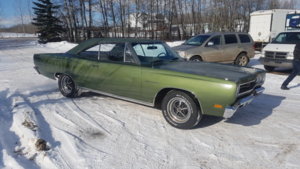 20180222_120756.jpg 20180222_120756.jpg