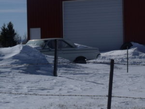 2018 winter 003.JPG