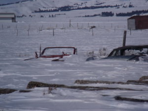 2018 winter 004.JPG