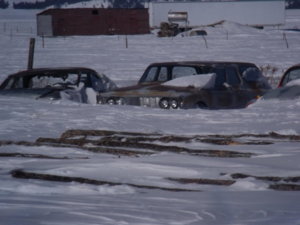 2018 winter 005.JPG