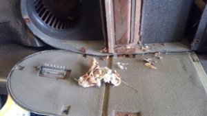 IMG_6868.jpg IMG_6868.jpg