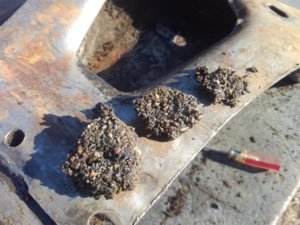 IMG_6894.jpg IMG_6894.jpg