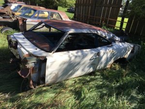 IMG_0515.JPG IMG_0515.JPG