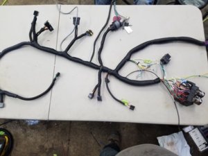 20180225_104104.jpg