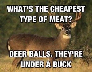 Deer Balls.jpg