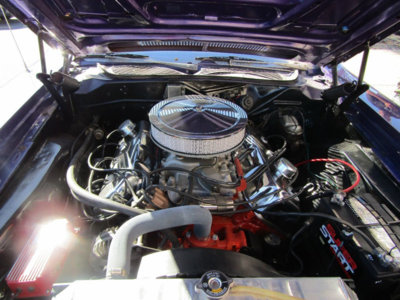 16928016_19_800.jpg