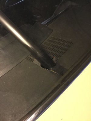 2356912F-BCC9-4398-9758-8EFA5A8A5D33.jpeg 2356912F-BCC9-4398-9758-8EFA5A8A5D33.jpeg