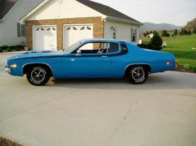 road-runner-blue(12).jpg