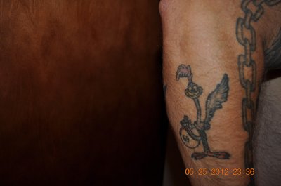 7271464574_21e2c9de00.jpg
