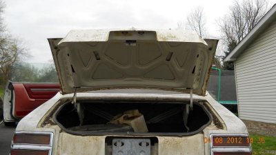 ebay Magnum decklid 1.jpg