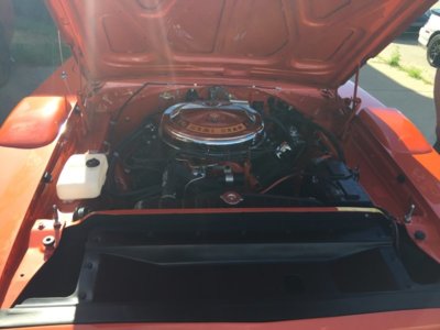 IMG_1796.JPG IMG_1796.JPG