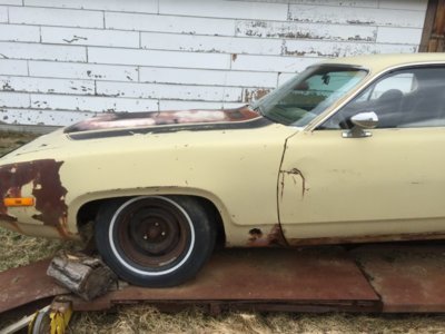 IMG_2017 - Copie.JPG