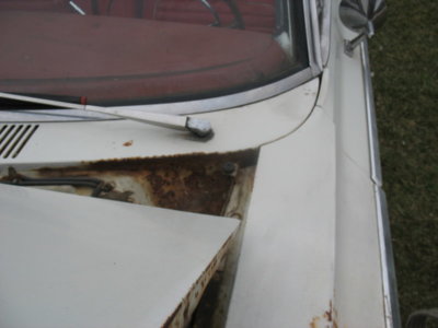 IMG_8369.JPG IMG_8369.JPG
