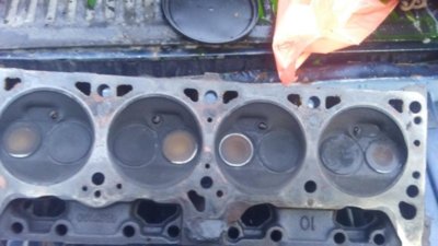 28619638_127912858044187_2758680103666307546_o.jpg 28619638_127912858044187_2758680103666307546_o.jpg