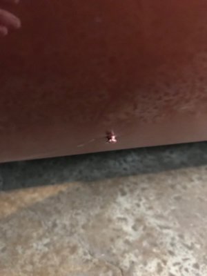 IMG_1705.jpg IMG_1705.jpg