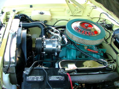j9.JPG