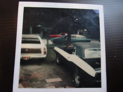 3.12.18 043.jpg 3.12.18 043.jpg