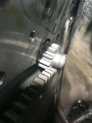 IMG_3793.JPG IMG_3793.JPG