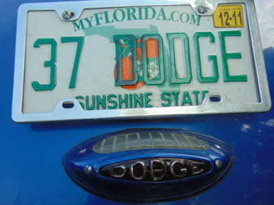 DSC00244.JPG DSC00244.JPG