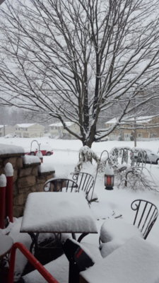 20180402_082326.jpg 20180402_082326.jpg