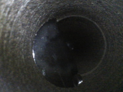 E0287527-DE4D-48BB-B107-64534DC846BF.jpeg E0287527-DE4D-48BB-B107-64534DC846BF.jpeg