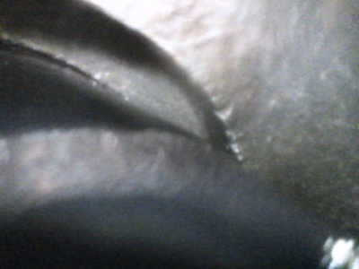 19829D7C-1EE5-413A-A051-63EA61951988.jpeg 19829D7C-1EE5-413A-A051-63EA61951988.jpeg