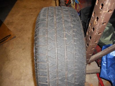 DSCN5179 (Large).jpg