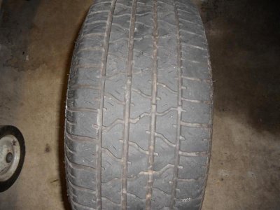 DSCN5180 (Large).jpg