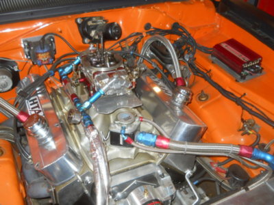 Steve 102.JPG Steve 102.JPG