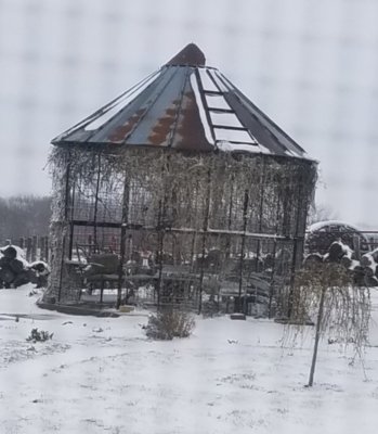 Screenshot_20180415-202109.jpg