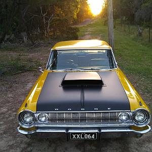 Aussie Bird