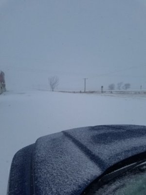 20180418_083715.jpg