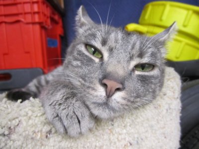 5.9.14 049.jpg 5.9.14 049.jpg