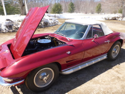 corvettecleanupspring2018 034.JPG corvettecleanupspring2018 034.JPG