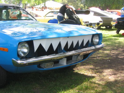 Max Cuda 1.JPG