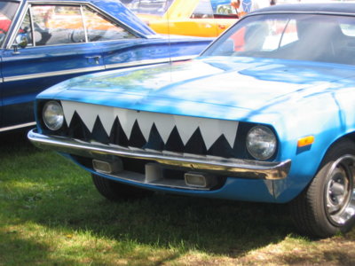 Max Cuda.JPG
