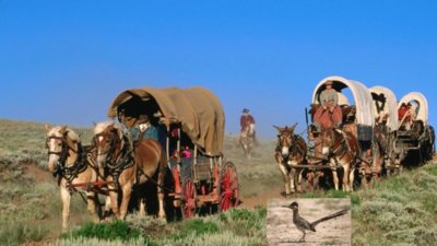 Welcome.jpg Welcome.jpg