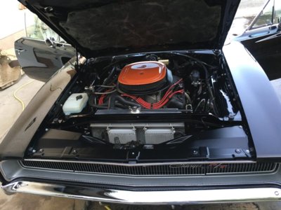 D72C7B56-B4B4-428C-8E6C-B9149EFFA106.jpeg D72C7B56-B4B4-428C-8E6C-B9149EFFA106.jpeg